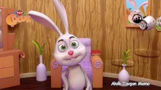 Akıllı Tavşan Momo – 8 Bölüm