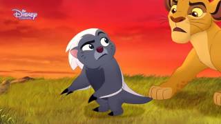 Aslan Koruyucular – Kayon Seçiyor