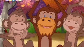 Damla’nın Dolabı – 31 Bölüm