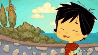 Ege ile Gaga – 2. Bölüm – Ayçiçeği