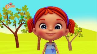 Elifin Düşleri – 24 İncir