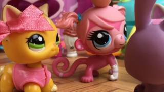 Minişlerin Sırrı 9.Bölüm