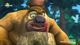 Ayı Kardeşler Bölüm 10