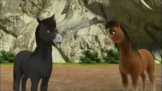 Doru 11. Bölüm – Yumurta & Merhamet