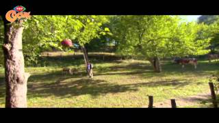 Köstebekgiller – 72.Bölüm