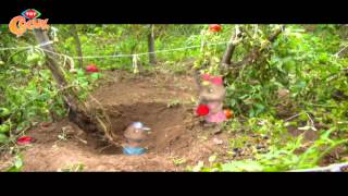 Köstebekgiller – 74.Bölüm