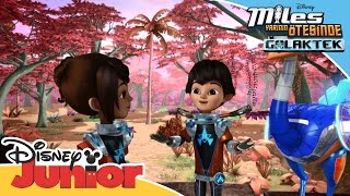 Miles Yarının Ötesinde – Galaktek Kanatları