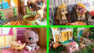 Minişler 12.Bölüm