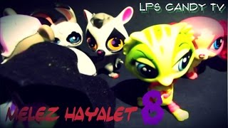 Minişler Gece Yarısı 8. Bölüm