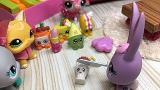 Minişlerin Sırrı 10.Bölüm