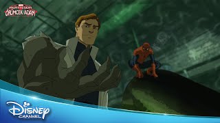 Muhteşem Örümcek Adam – Kertenkele