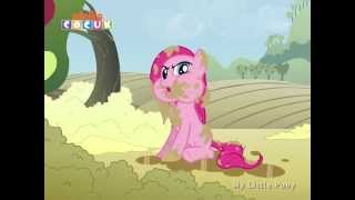 My Little Pony – 11. Bölüm