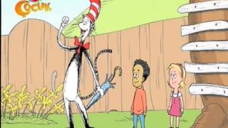 Şapkadaki Kedi – Su Ayısı Sert