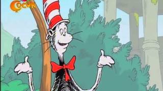 Şapkadaki Kedi – Tavus Kuşu Gösterişli