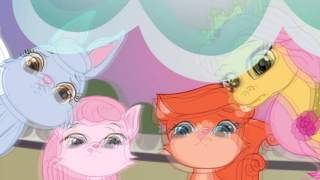 Sevimli Saraylılar Pati Diyarı – Pumpkin’in Balosu