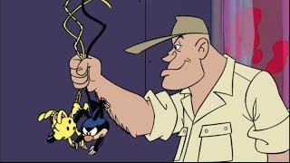 Uzun Kuyruk Marsupilami – Grotoxs