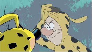 Uzun Kuyruk Marsupilami – Marsunun Karşı Atağı