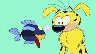 Uzun Kuyruk Marsupilami – Yuvarlak Şekil Fobisi
