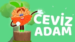 Ceviz Adam – Çocuk Şarkısı – Bebek Şarkıları