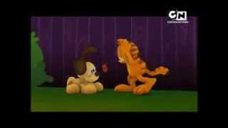 Garfield 3 bölüm – Pooky’i Arama Çalışması