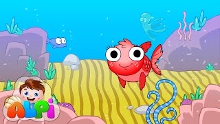 Kırmızı Balık Gölde – Bebek Şarkıları – Okul Öncesi Çocuk Şarkısı