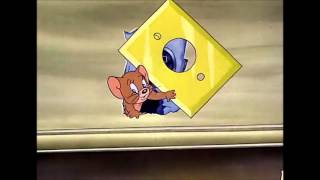 Tom ve Jerry – 5. Bölüm