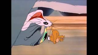 Tom ve Jerry – 7. Bölüm