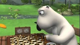 Ayı Bernard –  Satranç Oynuyor
