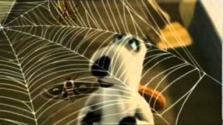 Ayı Bernard – Kelebek