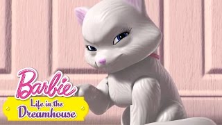 Bir Sürü Yavru Köpek