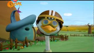 Ciciki – Uçma Töreni (Hepimiz Başardık)