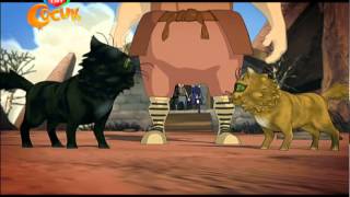 Cille – Kor Alevin Bekçisi