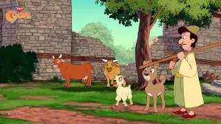 Küçük Hezarfen – Kaybolan İnekler