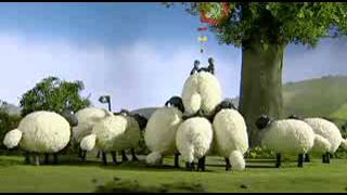 Çılgın Kuzular 11 Bölüm