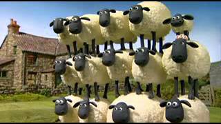 Çılgın Kuzular 15 Bölüm