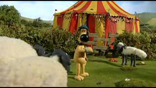 Çılgın Kuzular 16 Bölüm