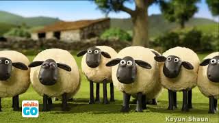 Çılgın Kuzular 17 Bölüm