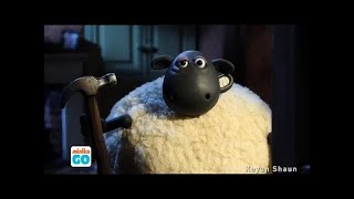 Çılgın Kuzular 24 Bölüm