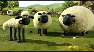 Çılgın Kuzular 6 Bölüm