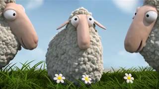 Çılgın Kuzular 7 Bölüm