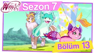 Winx Club – 7. Sezon 14. Bölüm – Tynix Dönüşümü