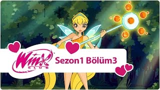 Winx Club – Sezon 1 Bölüm 3 – Alfea’da Dersler Başlıyor