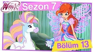 Winx Club- 7. Sezon 13. Bölüm – Tek Boynuzlu Atın Sırrı