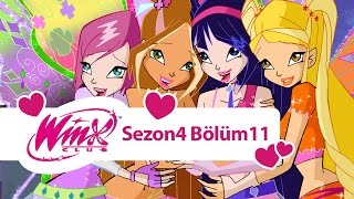 Winx Club – 4. Sezon 11. Bölüm – Winx Hep Birlikte