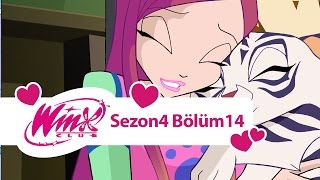 Winx Club – 4. Sezon 14. Bölüm – 7 Mükemmel Sayı