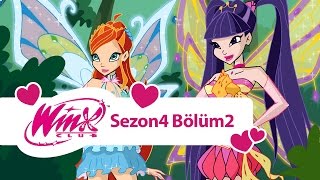 Winx Club – 4. Sezon 2. Bölüm – Hayat Ağacı