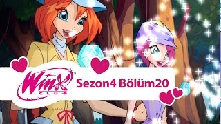 Winx Club – 4. Sezon 20. Bölüm – Kaderin Hikayesi