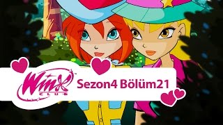 Winx Club – 4. Sezon 21. Bölüm – Sibylla’nın Mağarasında