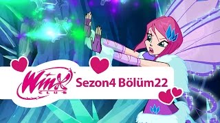 Winx Club – 4. Sezon 22. Bölüm – Buz Kulesi