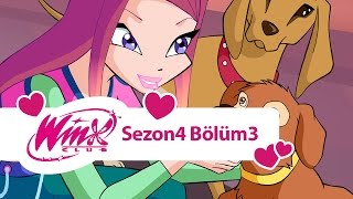 Winx Club – 4. Sezon 3. Bölüm – Dünya’daki Son Peri